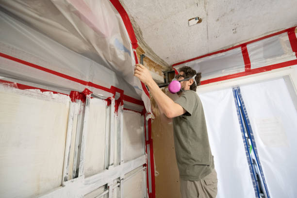 Professional Mold Inspection, Removal & Remediation in Oxford, MS