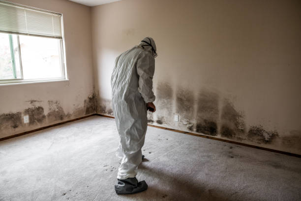 Best Commercial Mold Inspection  in Oxford, MS